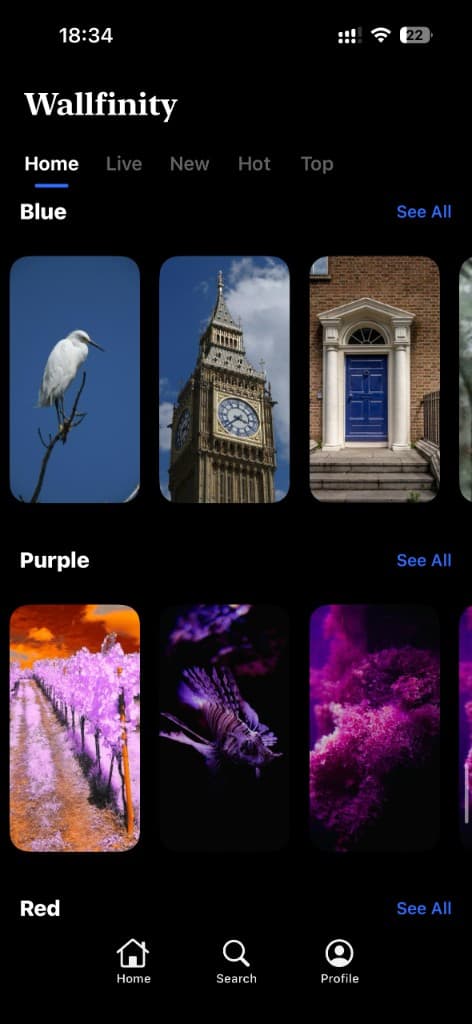 Wallfinity Blue and Purple